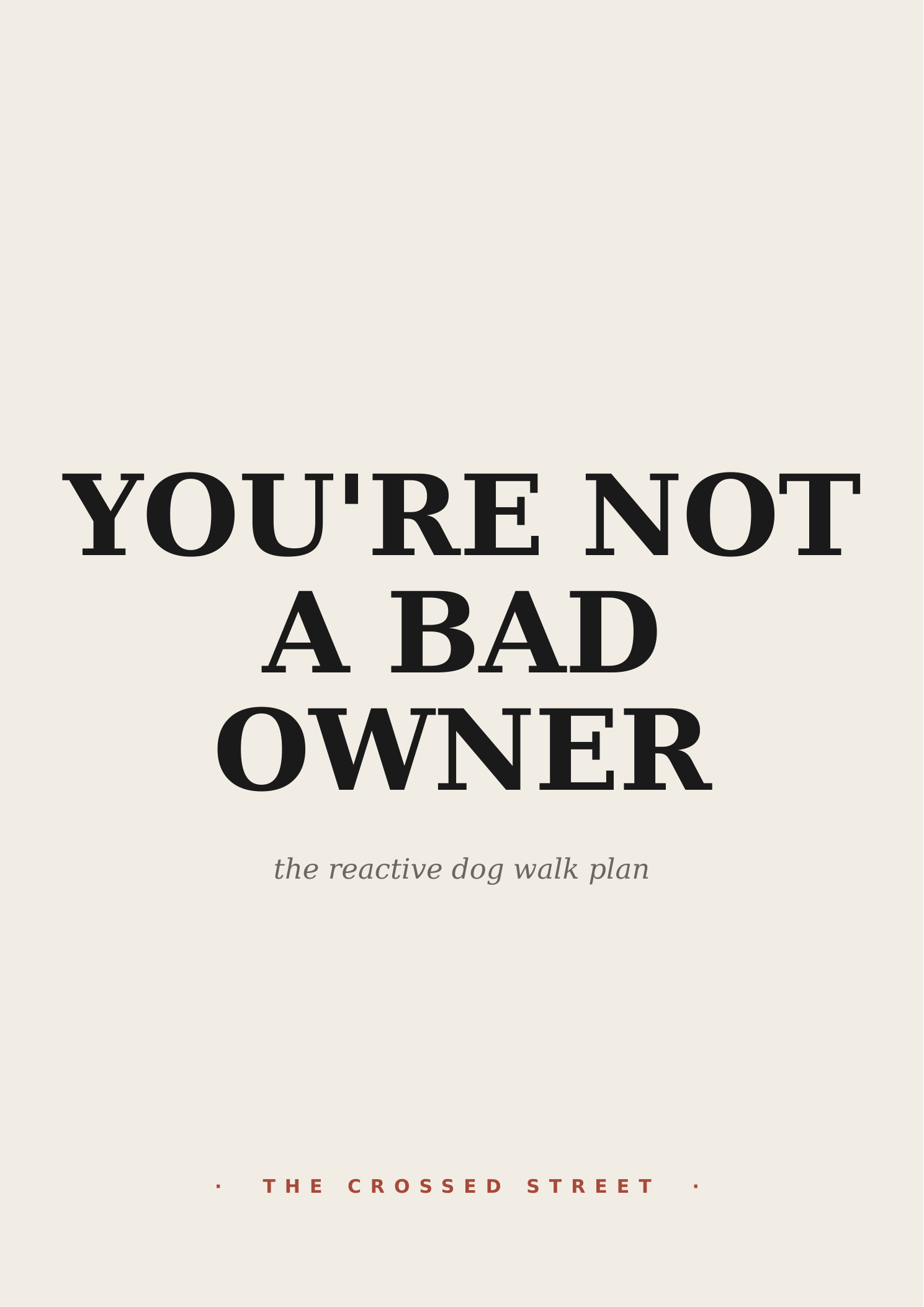 You're Not a Bad Owner — cover